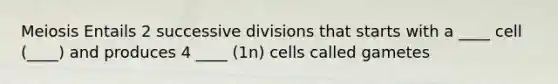 Meiosis Entails 2 successive divisions that starts with a ____ cell (____) and produces 4 ____ (1n) cells called gametes