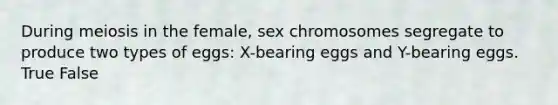 During meiosis in the female, sex chromosomes segregate to produce two types of eggs: X-bearing eggs and Y-bearing eggs. True False