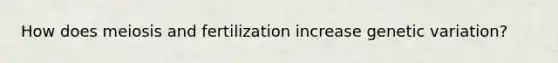 How does meiosis and fertilization increase genetic variation?