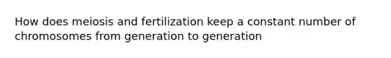 How does meiosis and fertilization keep a constant number of chromosomes from generation to generation