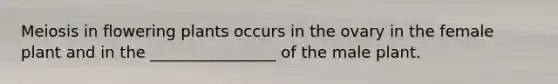 Meiosis in flowering plants occurs in the ovary in the female plant and in the ________________ of the male plant.