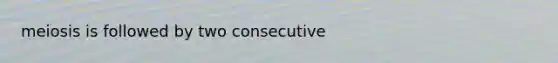 meiosis is followed by two consecutive