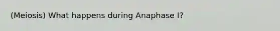 (Meiosis) What happens during Anaphase I?