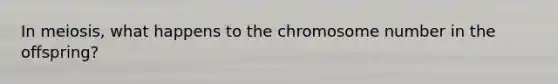 In meiosis, what happens to the chromosome number in the offspring?