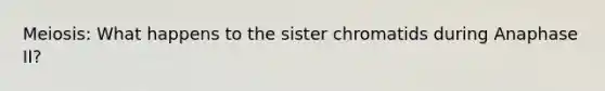 Meiosis: What happens to the sister chromatids during Anaphase II?