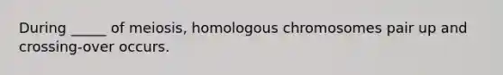 During _____ of meiosis, homologous chromosomes pair up and crossing-over occurs.