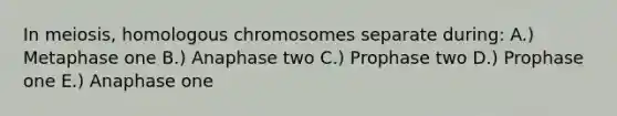 In meiosis, homologous chromosomes separate during: A.) Metaphase one B.) Anaphase two C.) Prophase two D.) Prophase one E.) Anaphase one