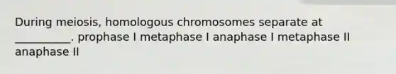 During meiosis, homologous chromosomes separate at __________. prophase I metaphase I anaphase I metaphase II anaphase II