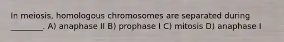 In meiosis, homologous chromosomes are separated during ________. A) anaphase II B) prophase I C) mitosis D) anaphase I