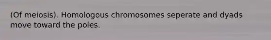 (Of meiosis). Homologous chromosomes seperate and dyads move toward the poles.