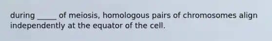 during _____ of meiosis, homologous pairs of chromosomes align independently at the equator of the cell.