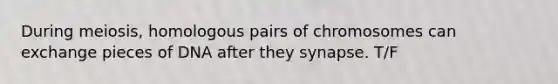 During meiosis, homologous pairs of chromosomes can exchange pieces of DNA after they synapse. T/F