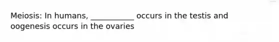 Meiosis: In humans, ___________ occurs in the testis and oogenesis occurs in the ovaries