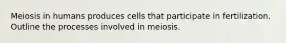 Meiosis in humans produces cells that participate in fertilization. Outline the processes involved in meiosis.