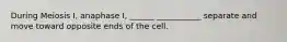 During Meiosis I, anaphase I, ______ ___________ separate and move toward opposite ends of the cell.