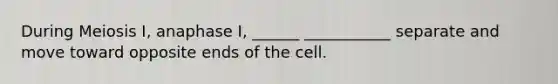 During Meiosis I, anaphase I, ______ ___________ separate and move toward opposite ends of the cell.