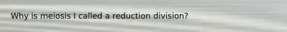 Why is meiosis I called a reduction division?