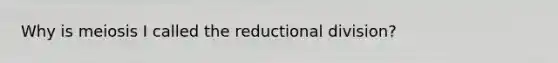 Why is meiosis I called the reductional division?