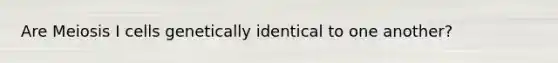 Are Meiosis I cells genetically identical to one another?