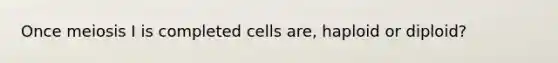 Once meiosis I is completed cells are, haploid or diploid?