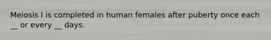 Meiosis I is completed in human females after puberty once each __ or every __ days.