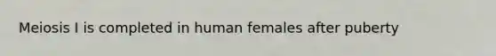 Meiosis I is completed in human females after puberty