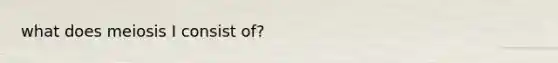 what does meiosis I consist of?