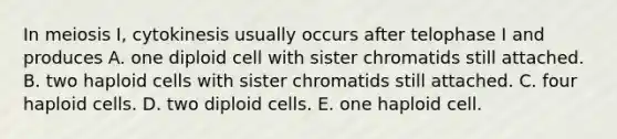 In meiosis I, cytokinesis usually occurs after telophase I and produces A. one diploid cell with sister chromatids still attached. B. two haploid cells with sister chromatids still attached. C. four haploid cells. D. two diploid cells. E. one haploid cell.