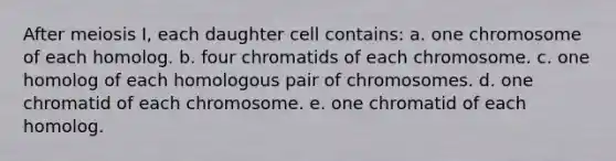 After meiosis I, each daughter cell contains: a. one chromosome of each homolog. b. four chromatids of each chromosome. c. one homolog of each homologous pair of chromosomes. d. one chromatid of each chromosome. e. one chromatid of each homolog.