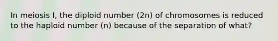 In meiosis I, the diploid number (2n) of chromosomes is reduced to the haploid number (n) because of the separation of what?