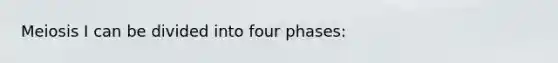 Meiosis I can be divided into four phases: