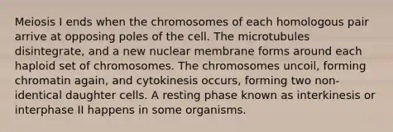 Meiosis I ends when the chromosomes of each homologous pair arrive at opposing poles of the cell. The microtubules disintegrate, and a new nuclear membrane forms around each haploid set of chromosomes. The chromosomes uncoil, forming chromatin again, and cytokinesis occurs, forming two non-identical daughter cells. A resting phase known as interkinesis or interphase II happens in some organisms.