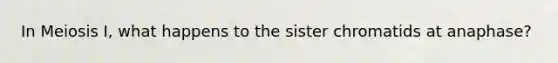 In Meiosis I, what happens to the sister chromatids at anaphase?