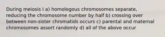 During meiosis I a) homologous chromosomes separate, reducing the chromosome number by half b) crossing over between non-sister chromatids occurs c) parental and maternal chromosomes assort randomly d) all of the above occur