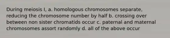 During meiosis I, a. homologous chromosomes separate, reducing the chromosome number by half b. crossing over between non sister chromatids occur c. paternal and maternal chromosomes assort randomly d. all of the above occur