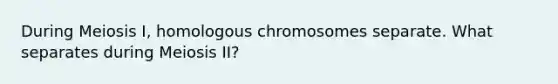 During Meiosis I, homologous chromosomes separate. What separates during Meiosis II?