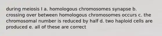 during meiosis I a. homologous chromosomes synapse b. crossing over between homologous chromosomes occurs c. the chromosomal number is reduced by half d. two haploid cells are produced e. all of these are correct