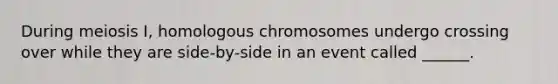 During meiosis I, homologous chromosomes undergo crossing over while they are side-by-side in an event called ______.