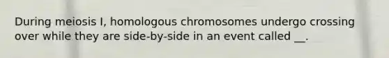 During meiosis I, homologous chromosomes undergo crossing over while they are side-by-side in an event called __.