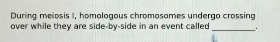 During meiosis I, homologous chromosomes undergo crossing over while they are side-by-side in an event called ___________.