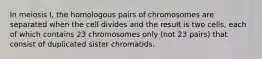 In meiosis I, the homologous pairs of chromosomes are separated when the cell divides and the result is two cells, each of which contains 23 chromosomes only (not 23 pairs) that consist of duplicated sister chromatids.