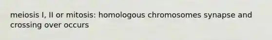 meiosis I, II or mitosis: homologous chromosomes synapse and crossing over occurs