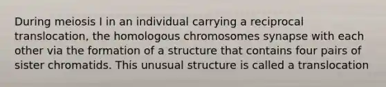 During meiosis I in an individual carrying a reciprocal translocation, the homologous chromosomes synapse with each other via the formation of a structure that contains four pairs of sister chromatids. This unusual structure is called a translocation