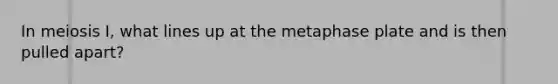 In meiosis I, what lines up at the metaphase plate and is then pulled apart?