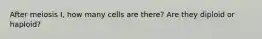 After meiosis I, how many cells are there? Are they diploid or haploid?