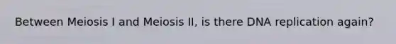 Between Meiosis I and Meiosis II, is there DNA replication again?