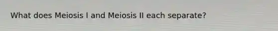 What does Meiosis I and Meiosis II each separate?