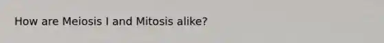 How are Meiosis I and Mitosis alike?