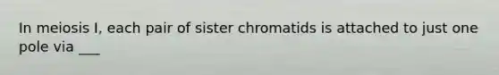 In meiosis I, each pair of sister chromatids is attached to just one pole via ___