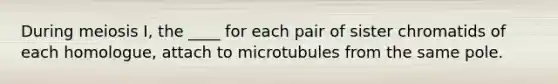 During meiosis I, the ____ for each pair of sister chromatids of each homologue, attach to microtubules from the same pole.